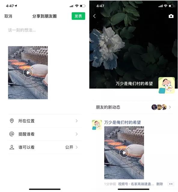 微信一次更新_10_个功能！拍一拍也能撤回?