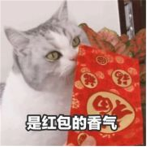 抖音2020过年要红包表情包分享