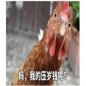 抖音2020过年要红包表情包分享